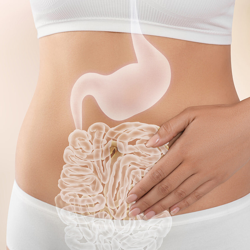 Mikroinnkapslingsmaskin for gastrointestinal helse frysetørkede produkter